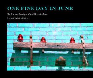 One Fine Day In June book cover
