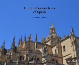 Unique Perspectives of Spain book cover