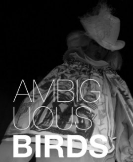 Ambiguous  Birds book cover