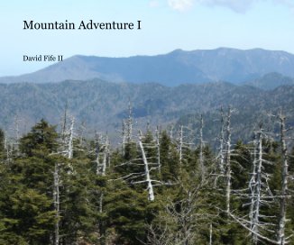 Mountain Adventure I book cover