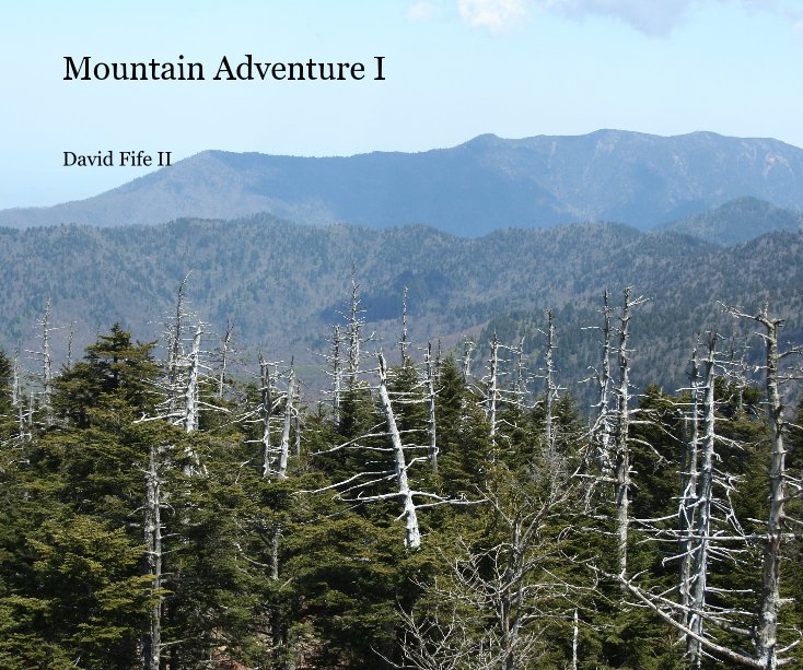 View Mountain Adventure I by David Fife II