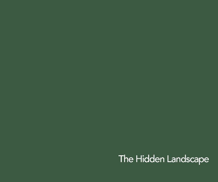 View The Hidden Landscape by Andrew Jackson