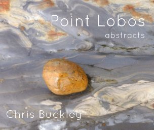 Point Lobos abstracts book cover