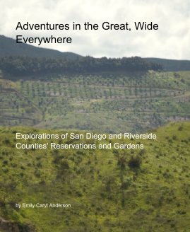 Adventures in the Great, Wide Everywhere book cover