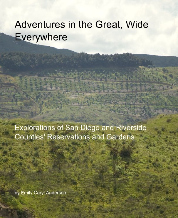 Ver Adventures in the Great, Wide Everywhere por Emily Caryl Anderson