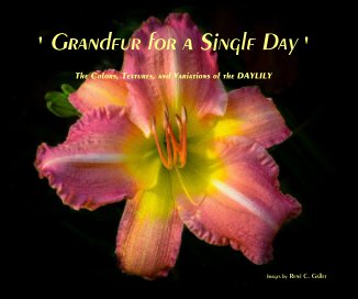 ' Grandeur for a Single Day ' book cover