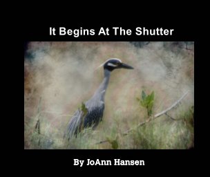 It Begins At The Shutter book cover