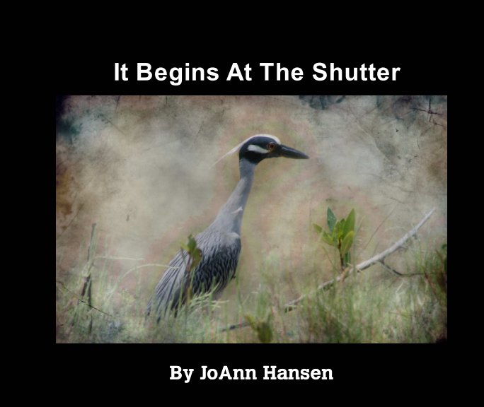 View It Begins At The Shutter by JoAnn Hansen