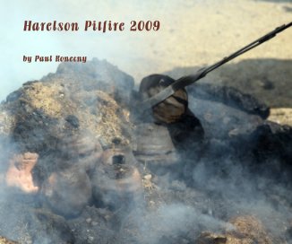 Harelson Pitfire 2009 book cover
