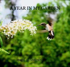 A YEAR IN MY GARDEN book cover