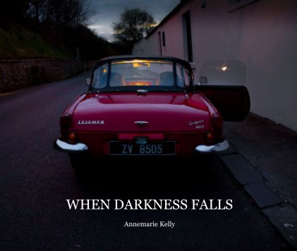 WHEN DARKNESS FALLS Annemarie Kelly book cover