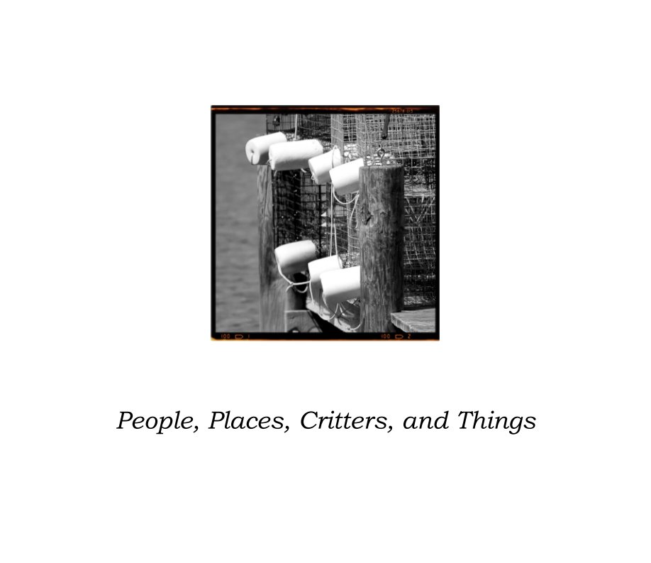 Visualizza People, Places, Critters, and Things di Harold Burnley
