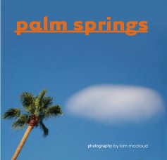palm springs book cover