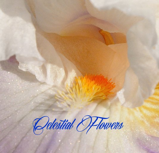 Ver Celestial Flowers por Valeriano Ugolini