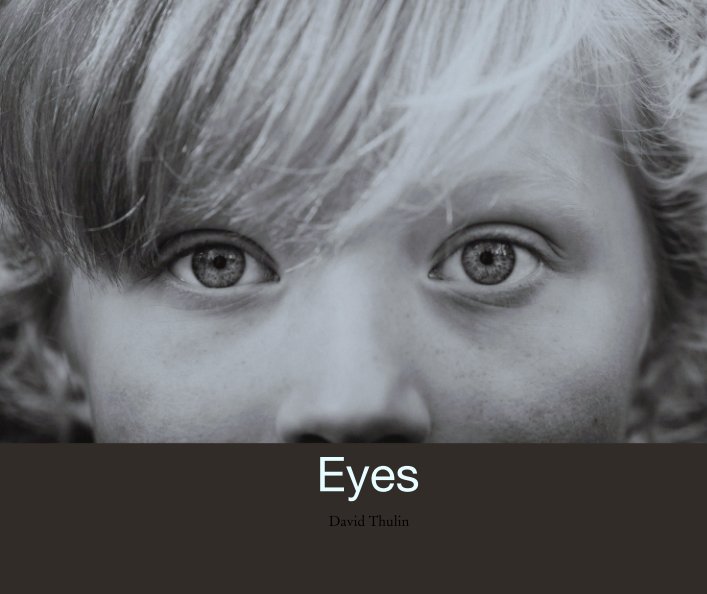View Eyes by David Thulin