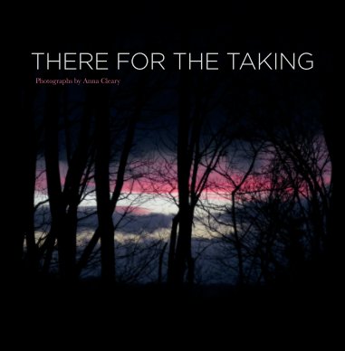 There for the Taking book cover