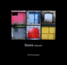 Doors Volume I book cover