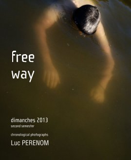 free way, dimanches 2013, second semester book cover