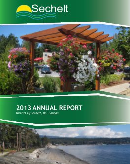 2013 Annual Report book cover