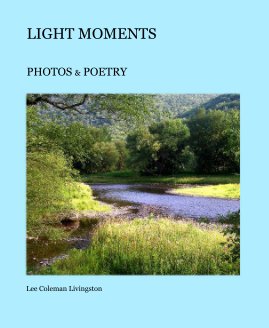 LIGHT MOMENTS book cover