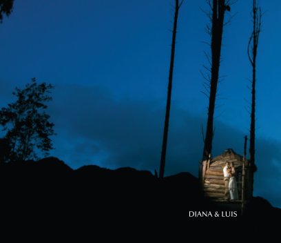 Diana y Luis book cover