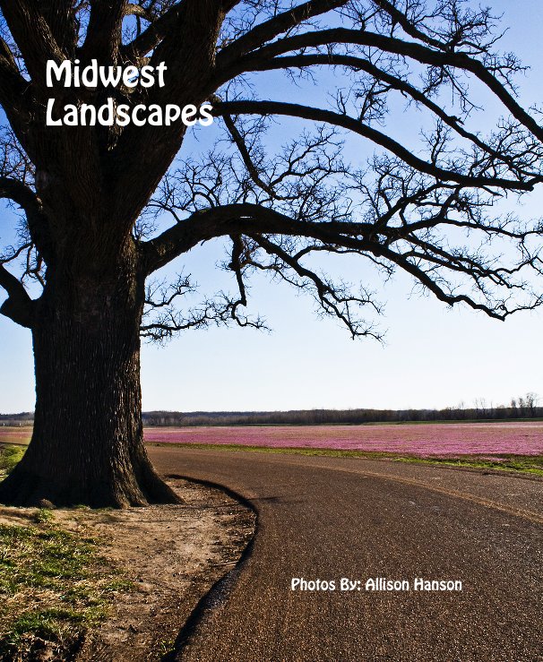 View Midwest Landscapes by Photos By: Allison Hanson