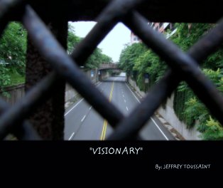 "VISIONARY" book cover