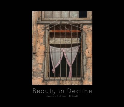 Beauty in Decline book cover