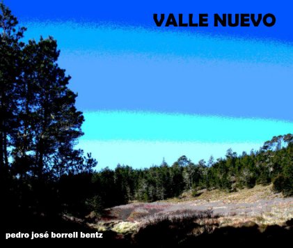 VALLE NUEVO book cover