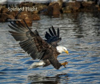 Spirited Flight book cover
