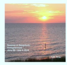 Summer in Saugatuck: 
Instagrammed  
June 28 - July 3, 2014 book cover