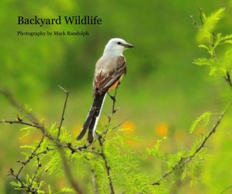 Backyard Wildlife book cover