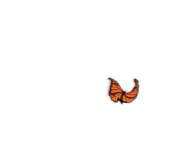 Visualizza All Monarchs deserve a Golden Crown di David Aitken