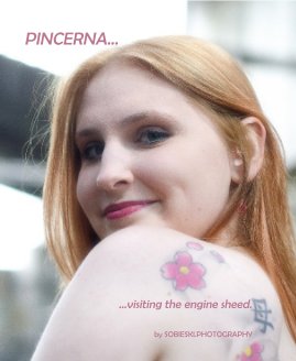 PINCERNA... book cover