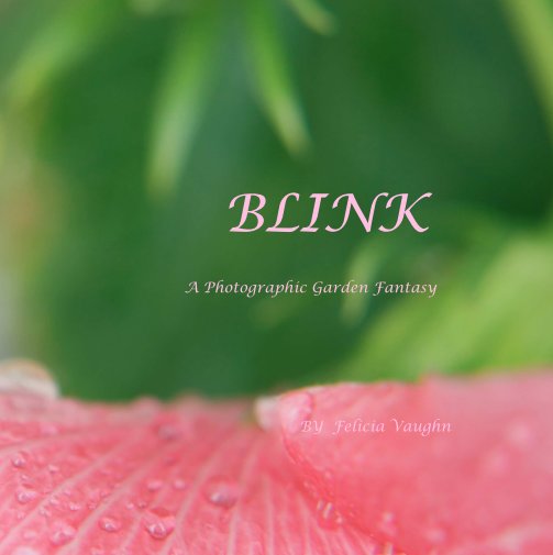 View Blink by Felicia Vaughn