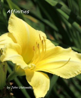 Affinities book cover