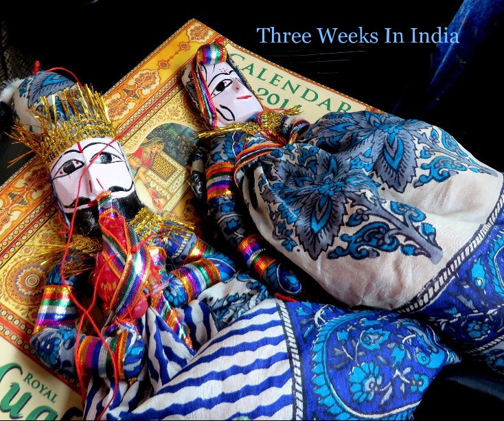 View Three Weeks In India by Dorothy Bond