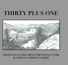 THIRTY PLUS ONE book cover