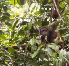 Borneo... Orangutans and More book cover