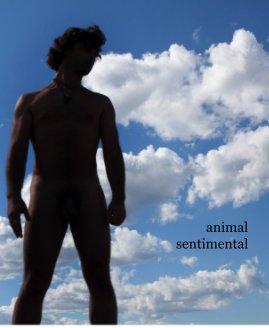 animal sentimental book cover