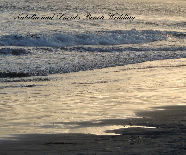 View Natalia and David's Beach Wedding by Linda Martin