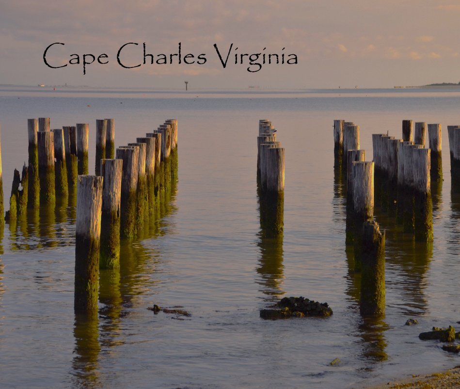 View Cape Charles Virginia by Ann Currie Williams