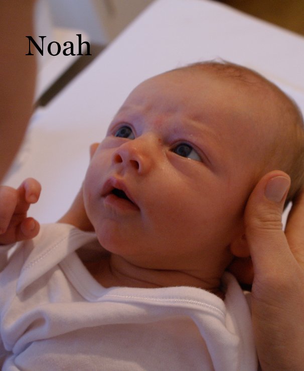 View Noah by Ben & Naomi Duckworth
