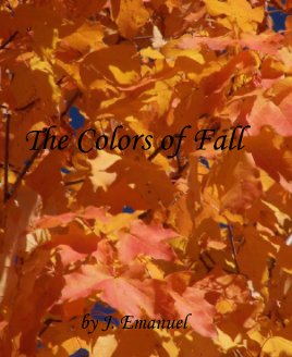 The Colors of Fall book cover