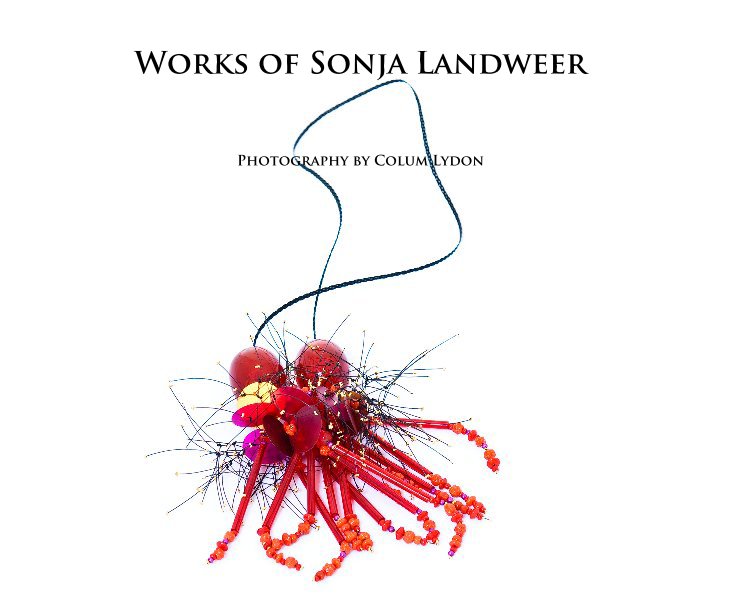 View Works of Sonja Landweer by Photography by Colum Lydon