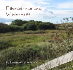 Allured into the Wilderness book cover