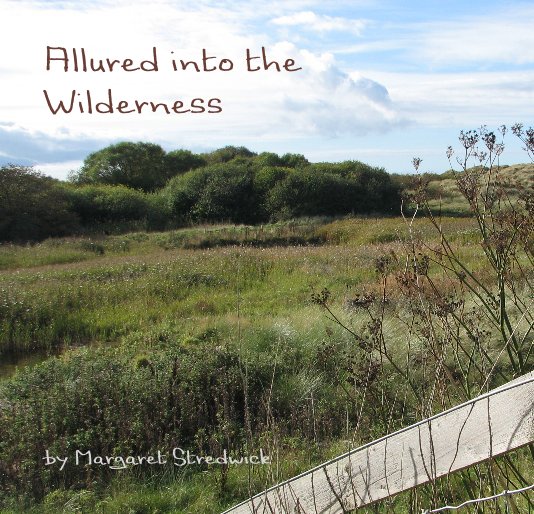 View Allured into the Wilderness by Margaret Stredwick
