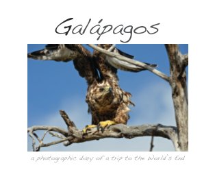 Galapagos book cover