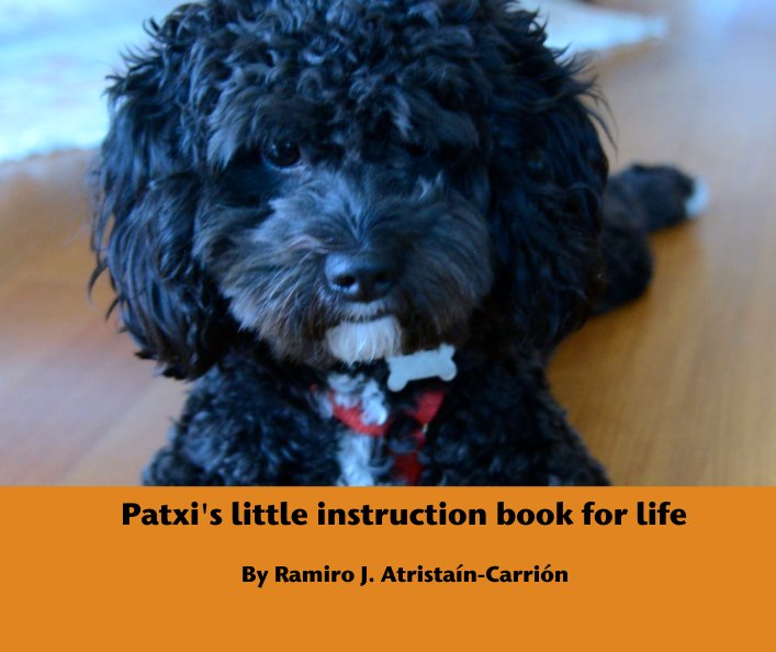 Ver Patxi's little instruction book for life por Ramiro J. Atristaín-Carrión