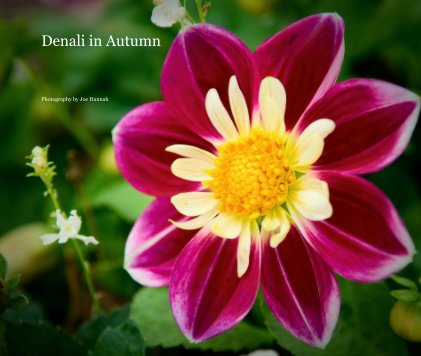 Denali in Autumn book cover